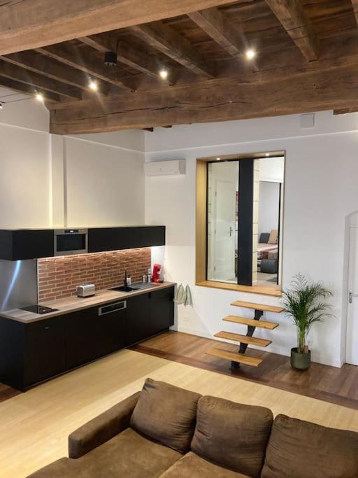 אלבי Appartement Centre Historique מראה חיצוני תמונה