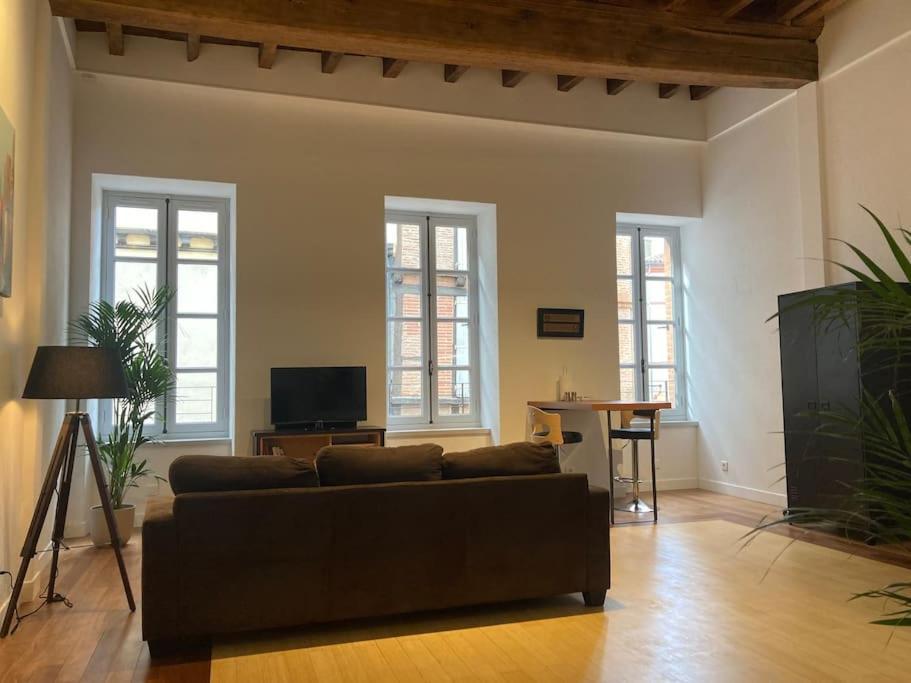 אלבי Appartement Centre Historique מראה חיצוני תמונה